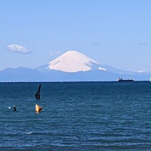 海岸線で癒やしの休日